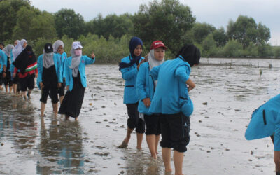 PENANAMAN 1000 POHON MANGROVE DESA JARING HALUS LANGKAT